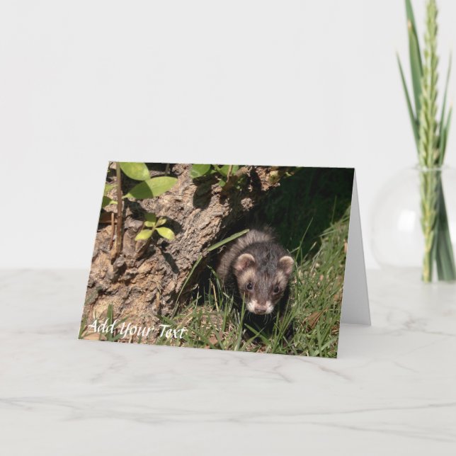 Tarjeta Festiva Para los bebés. Ferrets de sables (Anverso)