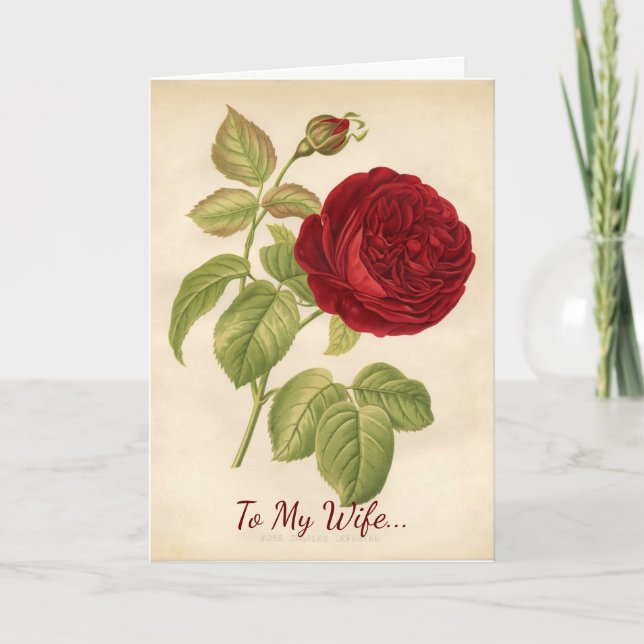 Tarjeta Festiva Para Mi Esposa San Valentín (Anverso)