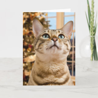 Tarjeta Festiva Para Santa que espera