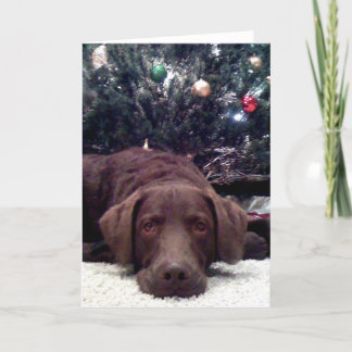 Tarjeta Festiva Para Santa que espera