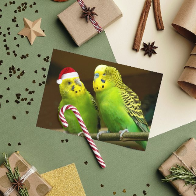 Tarjeta Festiva Paracaídas verde y amarillo en Santa Hat divertida (In Situ)