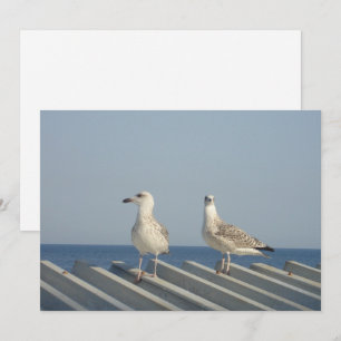 Tarjeta Festiva Pareja de gaviotas