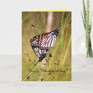 Tarjeta Festiva Pareja de mariposa monarca el día de San Valentín