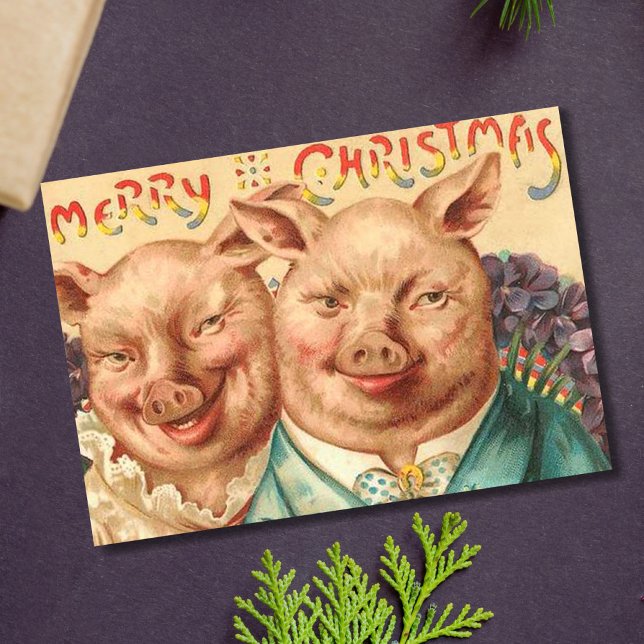 Tarjeta Festiva Pareja de Navidades de cerdos nodriza (Subido por el creador)