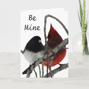 Tarjeta Festiva Pareja extraña - Pájaros en el Bush