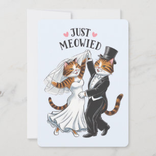 Tarjeta Festiva Parejas Casadas Meowied Gato Divertido Boda