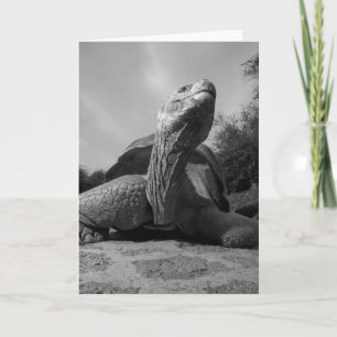 Tarjeta Festiva Parque nacional de Ecuador, islas de las Islas