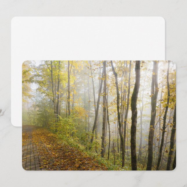 Tarjeta Festiva Parque soñador de otoño (Anverso / Reverso)