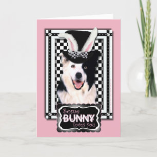 Tarjeta Festiva Pascua - algún conejito le ama - border collie