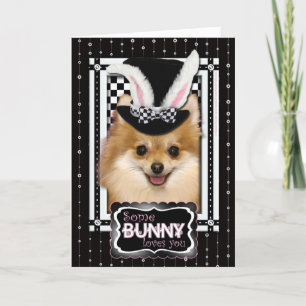Tarjeta Festiva Pascua - algún conejito le ama - Pomeranian