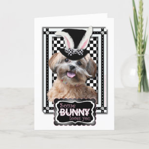 Tarjeta Festiva Pascua - algún conejito le ama - ShihPoo