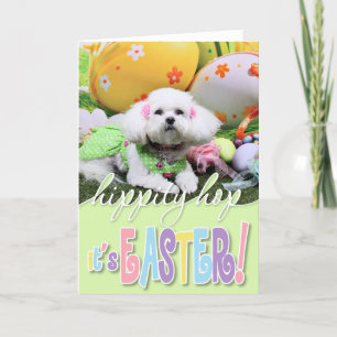 Tarjeta Festiva Pascua - Bichon Frise - Mia