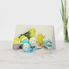 Tarjeta Festiva Pascua Budgies