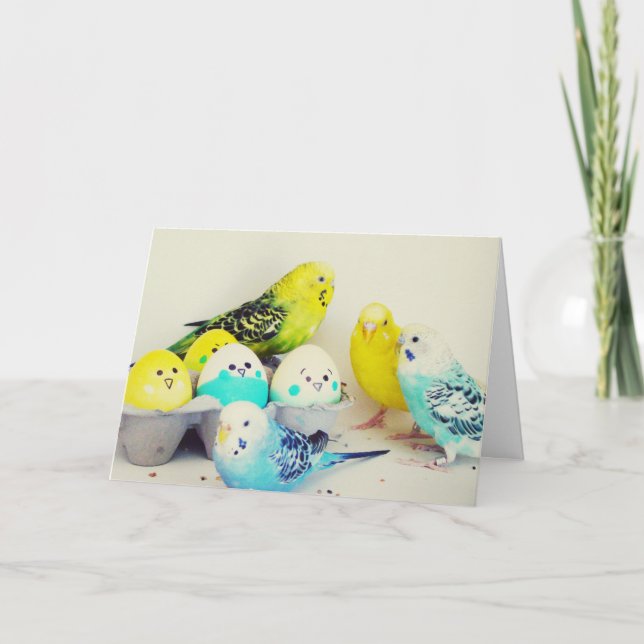 Tarjeta Festiva Pascua Budgies (Anverso)