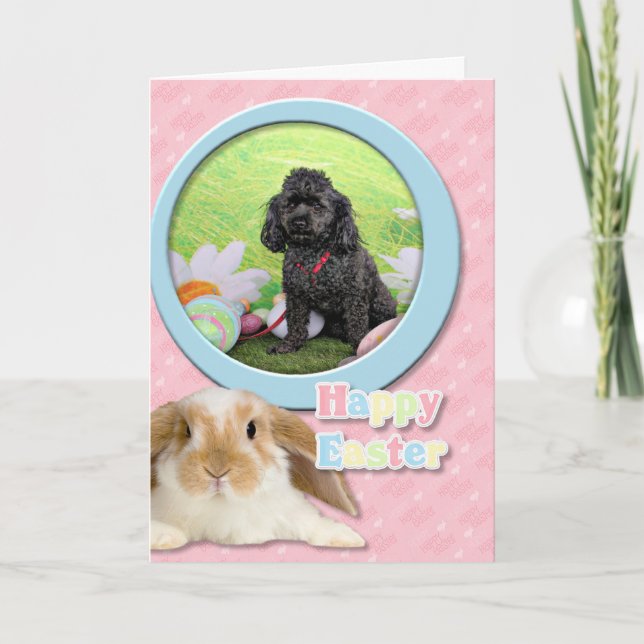 Tarjeta Festiva Pascua - Caramelos - Junior (Anverso)
