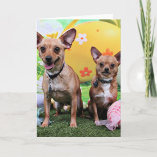 Tarjeta Festiva Pascua - Chipin Rockwell - chihuahua Rambo