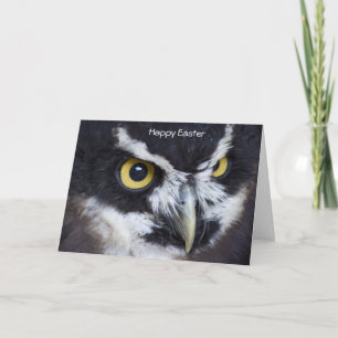 Tarjeta Festiva Pascua de búho blanco y negro