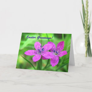 Tarjeta Festiva Pascua de Flores Silvestres