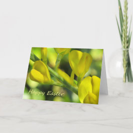 Tarjeta Festiva Pascua feliz