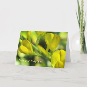 Tarjeta Festiva Pascua feliz