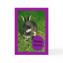 ¡Pascua feliz de Somebunny que le ama!