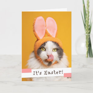Tarjeta Festiva Pascua feliz para cualquier gato gracioso en las o