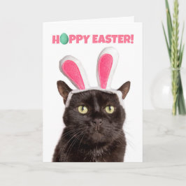 Tarjeta Festiva Pascua feliz para cualquier gato gracioso en las o