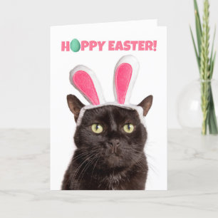 Tarjeta Festiva Pascua feliz para cualquier gato gracioso en las o