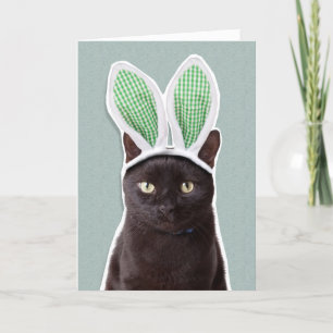 Tarjeta Festiva Pascua feliz para cualquier gato gracioso en las o