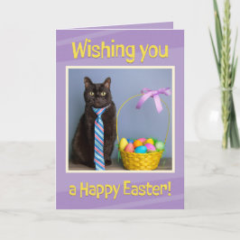 Tarjeta Festiva Pascua feliz para cualquier gato lindo empatado