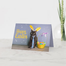 Tarjeta Festiva Pascua feliz para cualquier gato lindo en las orej