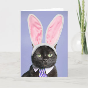 Tarjeta Festiva Pascua feliz para cualquier gato negro en orejas d