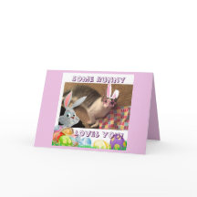 Pascua feliz para un amante del gato