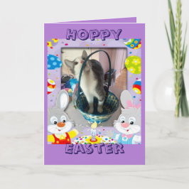 Tarjeta Festiva Pascua feliz para un amante del gato