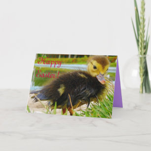 Tarjeta Festiva Pascua III