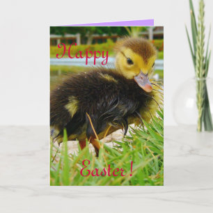 Tarjeta Festiva Pascua III