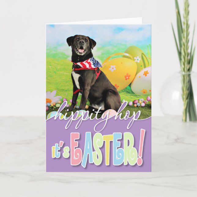 Tarjeta Festiva Pascua - Labrador - Dakota (Anverso)