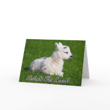 Pascua, mira el cordero