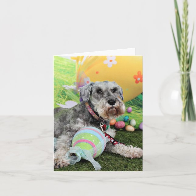 Tarjeta Festiva Pascua - Schnauzer - Fergie (Anverso)