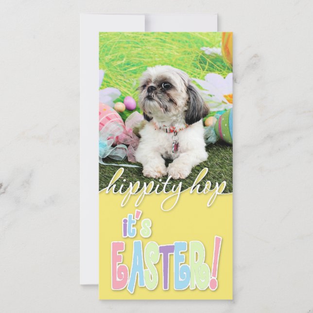 Tarjeta Festiva Pascua - Shih Tzu - Sophie (Anverso)