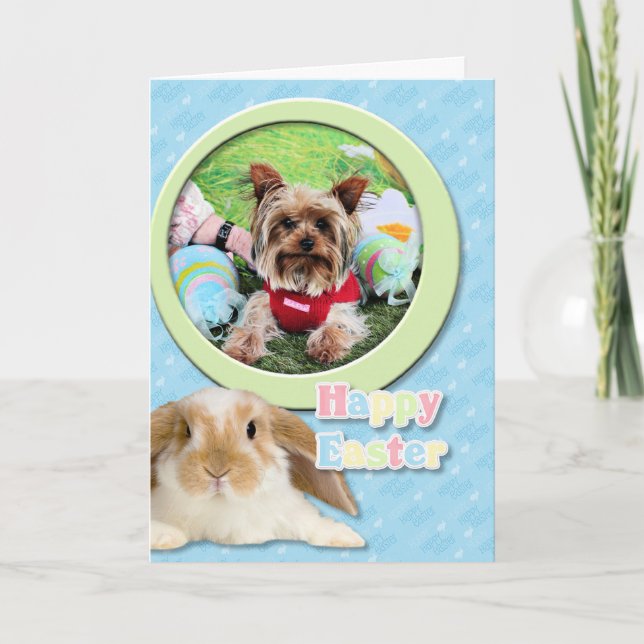 Tarjeta Festiva Pascua - Yorkshire Terrier - descarados (Anverso)