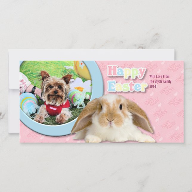 Tarjeta Festiva Pascua - Yorkshire Terrier - Sassy (Anverso)