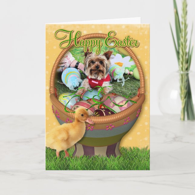 Tarjeta Festiva Pascua - Yorkshire Terrier - Sassy (Anverso)
