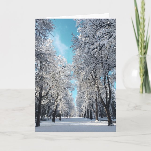 Tarjeta Festiva paseo de invierno por el parque (Anverso)