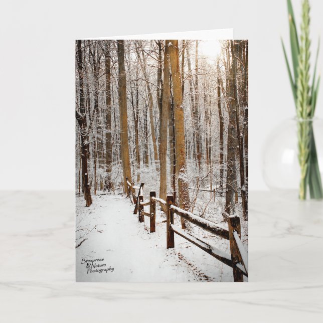 Tarjeta Festiva Paseo del invierno (5,0) (Anverso)
