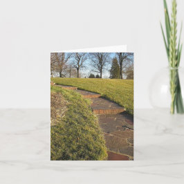 TARJETA FESTIVA PASOS