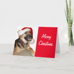 Tarjeta Festiva Pastor alemán con un Gorra de Santa Claus