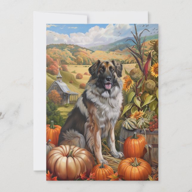Tarjeta Festiva Pastor Anatoliano Perro Cosecha Otoño Día de Acció (Anverso)