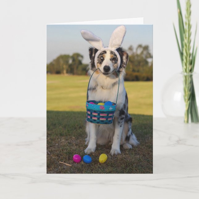 Tarjeta Festiva Pastor australiano con huevos de Pascua (Anverso)