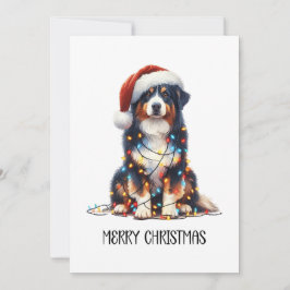 Tarjeta Festiva Pastor australiano envuelto en luz de Navidades
